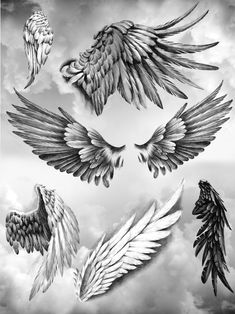 black and white drawing of wings flying in the sky with clouds behind them, all on separate sides