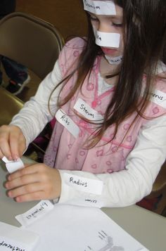 Skeletal System Activities, Lapbook Ideas, Middle School Lesson Plans, Health Unit