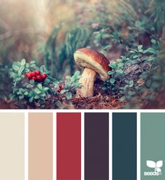 an image of a mushroom in the woods with color swatches to match it's surroundings