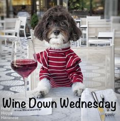 a dog wearing a sweater sitting at a table with a glass of wine in front of it