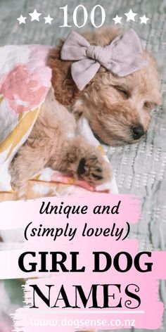 a dog laying on top of a bed under a blanket with the words, unique and simply lovely female dog names