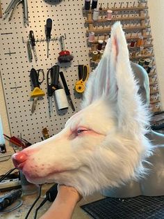 a white dog is being groomed by a person in a shop with tools on the wall