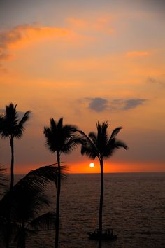 the sun is setting over the ocean with palm trees and boats in the foreground