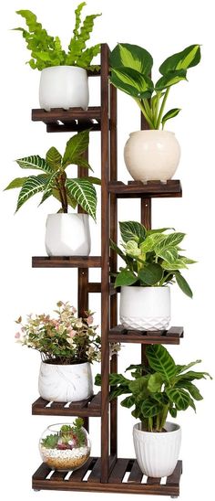 a wooden shelf filled with lots of potted plants