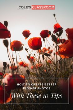 red flowers with text overlaying how to create better flower photos with these 10 tips