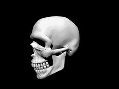 a black and white photo of a human skull