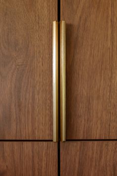 two brass handles are on the wooden cabinet doors