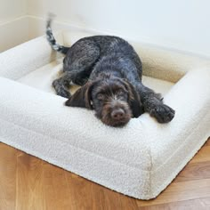 a black dog laying on top of a pet bed