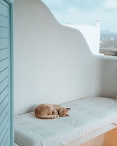 a cat sleeping on top of a white bench