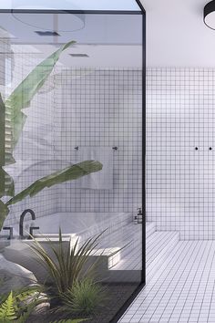 a bathroom with tiled walls and flooring next to a plant