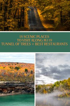 the scenic places to visit along mt 9 tunnel of trees + best restaurants