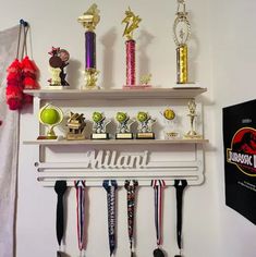 several trophies are displayed on the wall above a rack with ribbons and other sports memorabilia