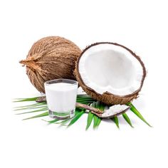 coconuts and a glass of milk on a white background with palm leaves around it