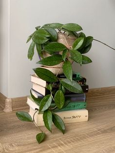 a stack of books sitting on top of a wooden table next to a potted plant