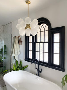 a white bath tub sitting under a window next to a green plant in a bathroom