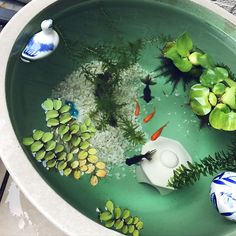 a bowl filled with water and plants in it