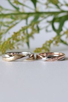 three wedding rings sitting on top of a table next to a green leafy plant