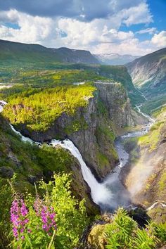 a waterfall in the middle of a valley surrounded by mountains and flowers on either side