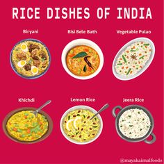 rice dishes of india are shown in this graphic above it is an illustration of different types of rice dishes