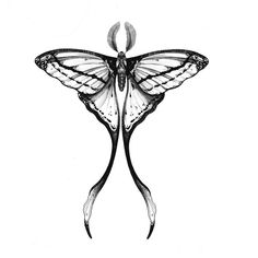 a black and white drawing of a butterfly