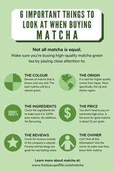 the most important things to look at when buying matcha infographical image below