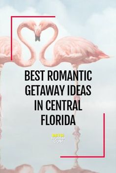 two pink flamingos standing next to each other with the words best romantic getaway ideas in central florida