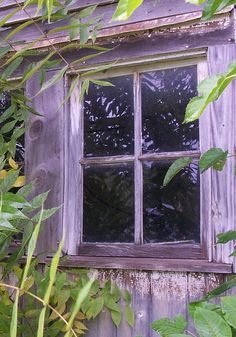 an old window is surrounded by green leaves