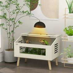 a small white cabinet with plants in it