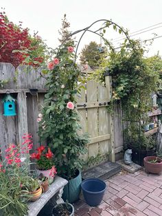 an outdoor garden with flowers and plants growing on the fenced in side yard area