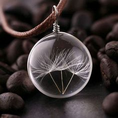 a dandelion in a glass ball is sitting on some coffee beans and it's brown cord