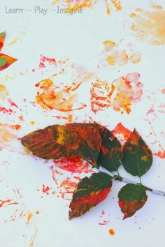 two leaves are laying on the ground with paint all over them and one is dying