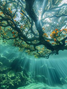 sunlight shining through the branches of an underwater tree