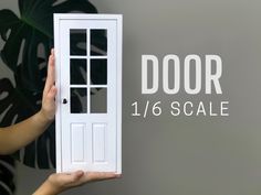 a person holding up a fake door with the words door 1 / 6 scale on it