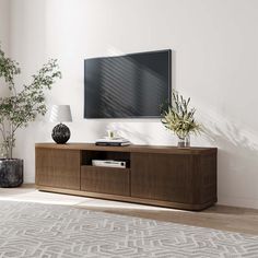 a living room with a large flat screen tv on the wall and plants in vases