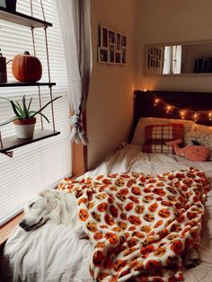 a white dog laying on top of a bed under a blanket next to a window