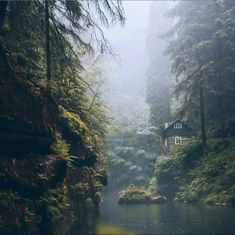 a small cabin in the middle of a forest on a foggy, misty day