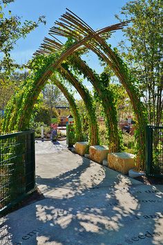 an arch made out of plants and rocks in the middle of a walkway with trees on either side