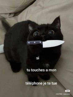 a black cat holding a knife in its mouth with the caption si tu touches a mon telephone je tee