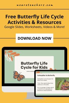 butterfly life cycle printable, butterfly life cycle worksheet