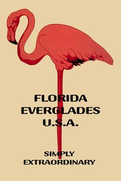 a pink flamingo standing on top of a sandy beach next to the words florida evergladess u s a