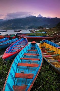 several canoes are lined up on the shore