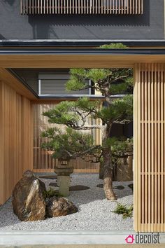 an outdoor area with rocks and trees in the foreground, surrounded by wooden slats