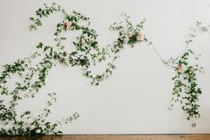 the wall is covered with green vines and pink flowers in front of white walls, along with wood flooring