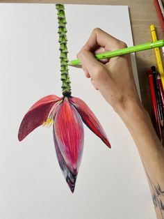 a person drawing a flower with colored pencils