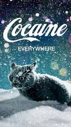 a black and white cat sitting in the snow with coca cola on it's back