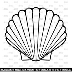 a black and white silhouette of a scallop shell