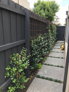 a small garden area in front of a fence with shrubbery growing along the side