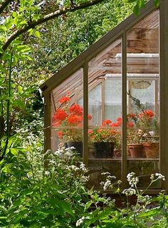 a small greenhouse in the middle of some trees and plants with red flowers growing inside