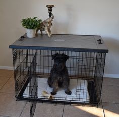 a dog sits in its cage on the floor next to a small potted plant