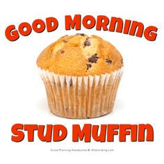 a muffin with the words good morning stud muffin in red and black lettering